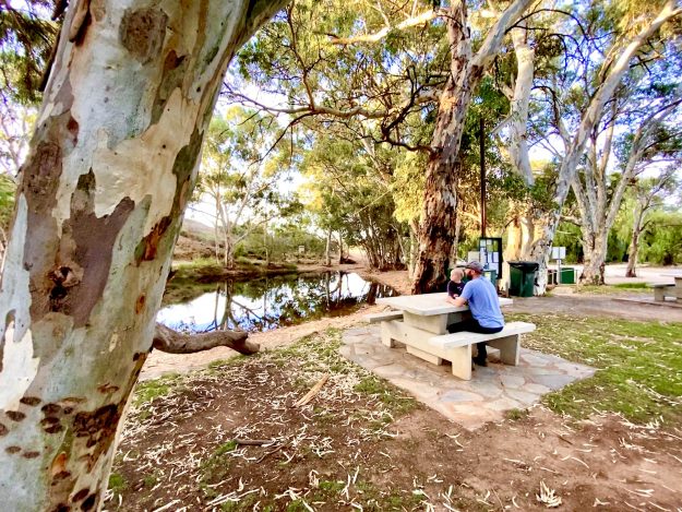 Orroroo Cover Submission Family at Duck Pond FullSize Render Landscape