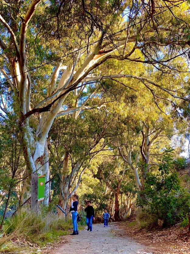 Pekina Walking Trail children centre